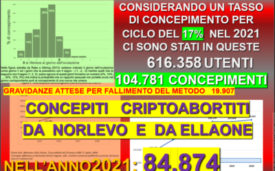 Aborti: dati ISTAT di applicazione della legge 194 e numeri reali