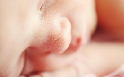 Embrione-feto-neonato: l’urlo proibito
