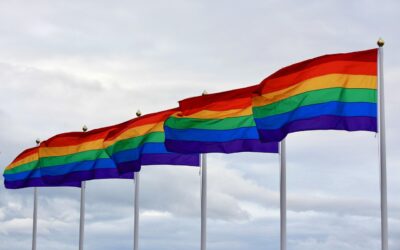 Cortei pride: servirebbero discrezione e stile e non ostentazione di sè