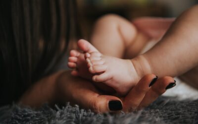 Regione Marche, non esiste il diritto all’aborto: dott. Luciano Leone
