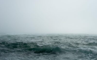 Obiezione di coscienza: rifiutarsi di uccidere i bimbi è segno di amore