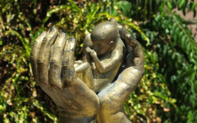 Evangelium Vitae, il ruolo dei Pro-life. Don Gabriele Mangiarotti