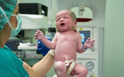 DDL Crisanti e aborto, anche le ostetriche coinvolte? Dott. Alberto Virgolino