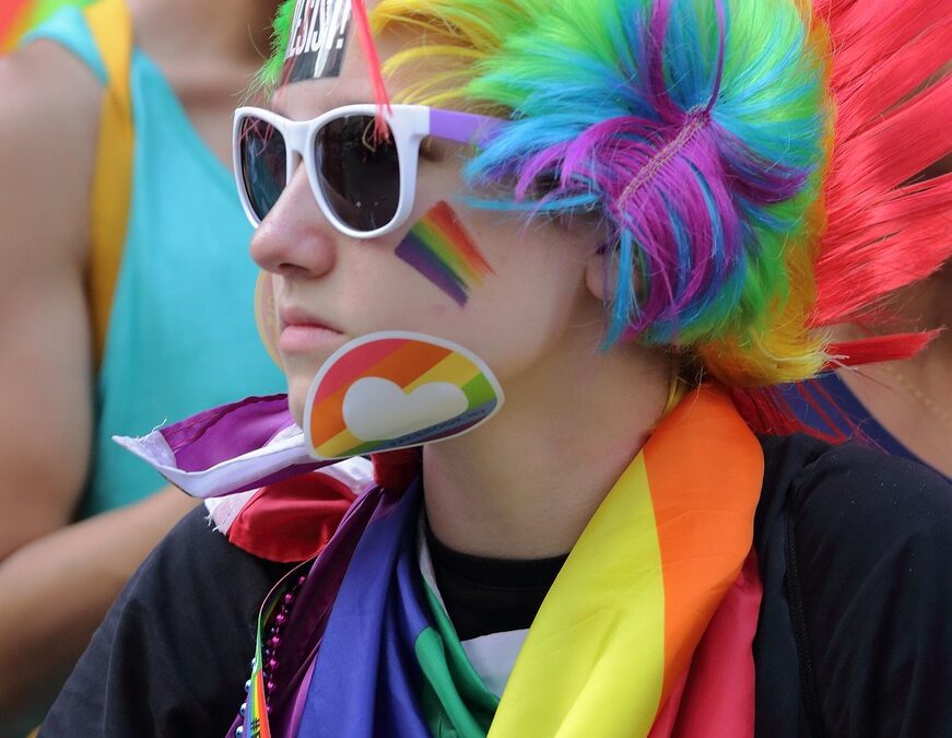 LGBTQ, in errore la senatrice che crede esistano teorie gender estremiste