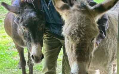 Bimbi violati, padri disprezzati ed emarginati: le ragioni di Susanna Tamaro