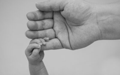 Embrione e feto, preziosità da rispettare o oggetti per terapie sperimentali?