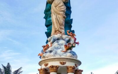 Femminismo violento e aggressivo? La Vergine Maria insegna