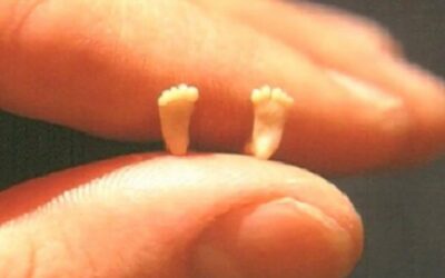 Aborto piaga culturale, chiamata “diritto universale” della donna