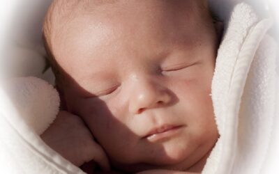 La campana della vita, un monito alle coscienze