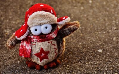 Genova, ed.sessuale a scuola promossa da una ditta di felpe