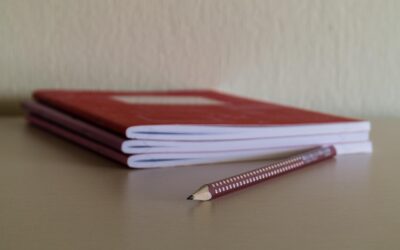 Educare a scuola alla non violenza? La mancanza di logica di certe proposte