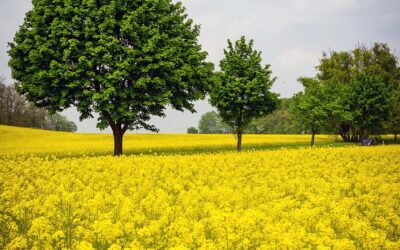 Amore è rispetto: testimonianza di una giovane donna