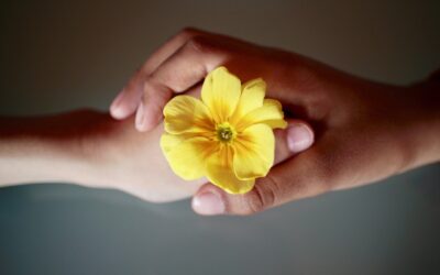 Educazione al rispetto:perché ne parla (agli studenti!)Cecchettin che non è un esperto?