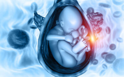 Aborto= omicidio. A Porto Rico la legislazione più avanti del mondo