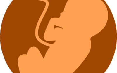 Ostetrica, custode della sacralità della vita