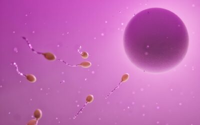 Femministe “aprono il fuoco” contro i pro-life