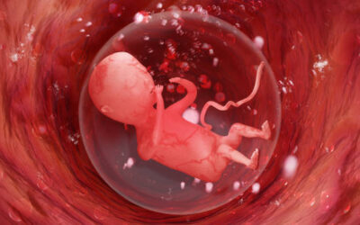 Modena, censura contro la vita