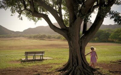 Cecina, Toscana: una panchina per i bimbi vittime dell’aborto