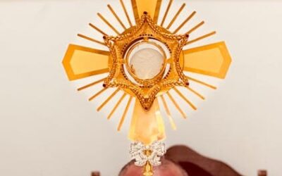 L’educazione sessuale non può essere competenza della diocesi