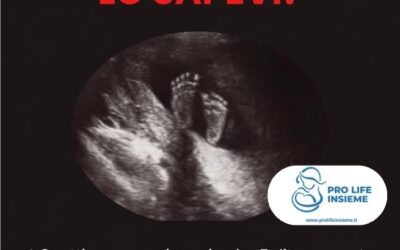 Il bimbo nel ventre della sua mamma: a 8 settimane manine e piedini sono formati!