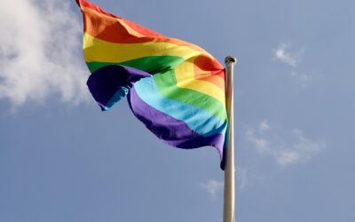 Toscana, Poggibonsi: biblioteca apre spazi dedicati ai temi LGBT. Scelta ideologica dell’amministrazione comunale.