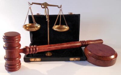 Emilia Romagna, PDL suicidio assistito: intervento del Consigliere Bocchi