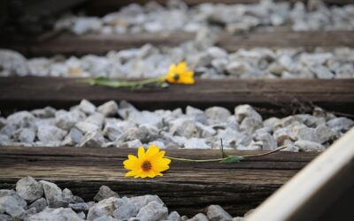Coscioni e la raccolta firme per il “diritto” a morire