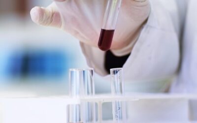 PMA e scambio di provette: l’embrione trattato come un oggetto