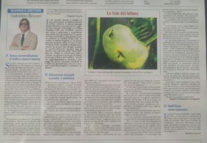 Articolo
