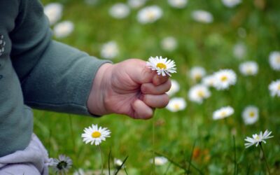 Crisi della natalità:relazione 2025 dell’Autorità garante dell’infanzia e dell’adolescenza, un commento