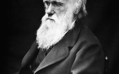 EVOLUZIONISMO DARWINIANO E PSICANALISI FREUDIANA  COME CAUSE DEL DEGRADO MORALE