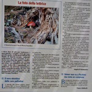 Foto giornale